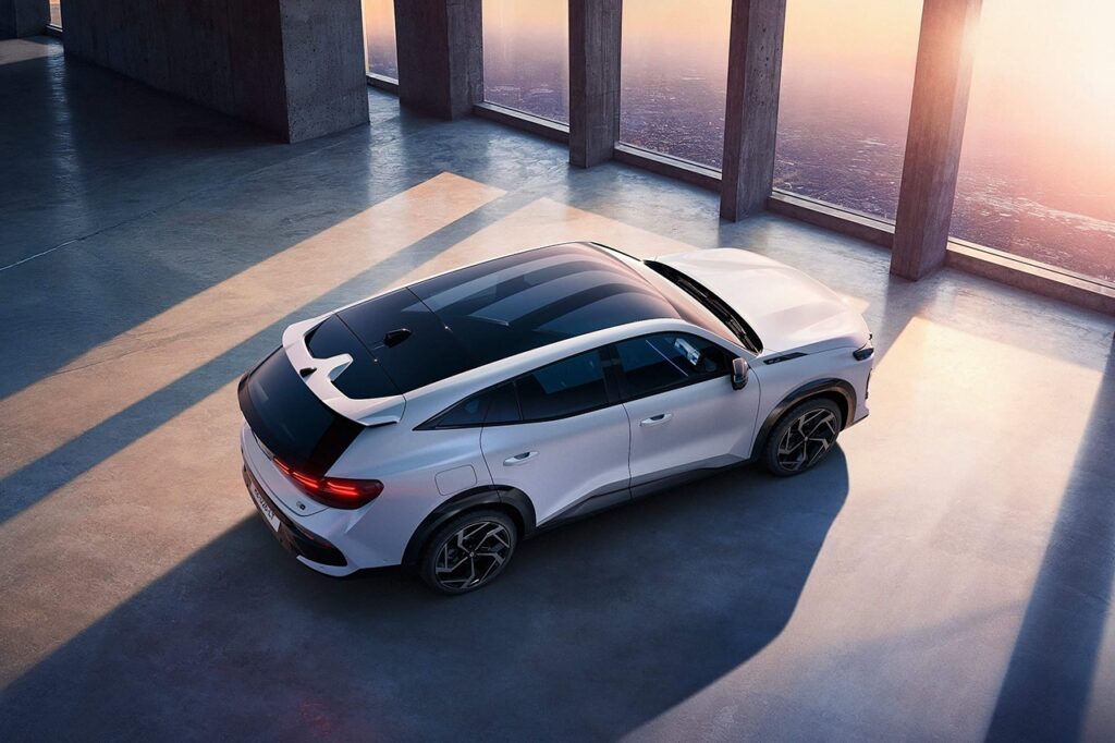 석양을 보고 서있는 르노 필랑트